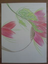 De Borst